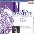 Strauss, Schoeck, Pfluger: Horn Concertos / Andrew Joy