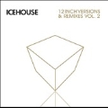 12 Inch Versions & Remixes Vol.2