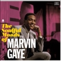 The Soulful Moods of Marvin Gaye