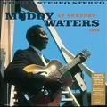 Muddy Waters at Newport 1960