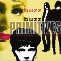 Buzz Buzz Buzz - The Complete Lazy Recordings