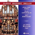 Slovak Historic Organs 2 / Jan Vladimir Michalko