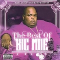 The Best of Big Moe [PA]