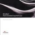 Schubert:Piano Sonatas No.19 & 20:Andreas Staier(p)
