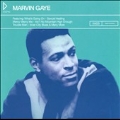 Icons : Marvin Gaye : Intl Ver.