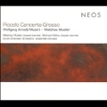 Piccolo Concerto Grosso - M. Muller, Mozart