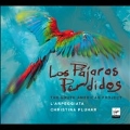 Los Pajaros Perdidos - The South American Project