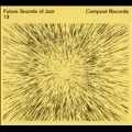 Future Sounds of Jazz Vol.13