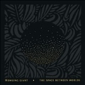 The Space Between Worlds