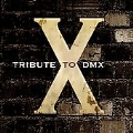 Tribute To DMX