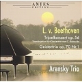 Beethoven: Triple Concerto (for Piano Trio), Piano Trio No.5