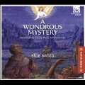 A Wondrous Mystery - Renaissance Choral Music for Christmas