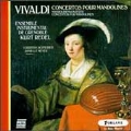 Vivaldi: Mandolin Concertos / Schneider, Meyer, Redel