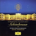 Summer Night's Concert at Schonbrunn 2009 / Daniel Barenboim, Vienna Philharmonic Orchestra