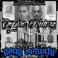 186.22 Gang Activity