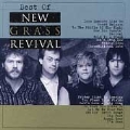 Best Of New Grass Revival