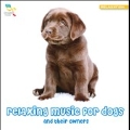 Relaxing Music for Dogs and Their Owners