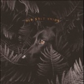 Where The Dogs Don't Bite<Orange Vinyl/限定盤>