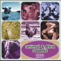 Animal & Bird Sounds
