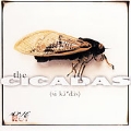 Cicadas