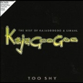 Too Shy : The Very Best Of Kajagoogoo & Limahl [CD+DVD]