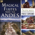 Magical Flutes from the Andes (Aconcagua)