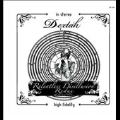 Relentless Disillusion Redux [LP+DVD]<初回生産限定盤>