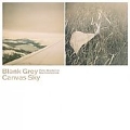 Blank Grey Canvas Sky