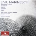 Liviu Marinescu: Harmonic Fields, Shadows, Focus, Echoes, Sway