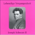 Lebendige Vergangenheit: Joseph Schwarz II