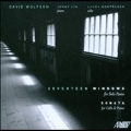 David Wolfson: Seventeen Windows
