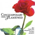 Contemporary New Flamenco