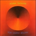 For Earth Below