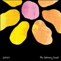 The Gathering Sound [3CD+DVD+LP+USBメモリ+BOOK+GOODS]<限定盤>