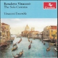 Benedetto Vinaccesi: The Solo Cantatas