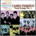 Remember Me Baby : Cameo Parkway Vocal Group Vol. 1