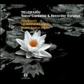 Telemann: Tenor Cantatas & Recorder Sonatas