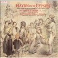 Haydn and the Gypsies / Huggett, Burman-Hall, Lux Musica