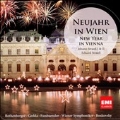 Neujahr in Wien - New Year in Vienna
