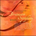 Brainwave Symphony: Delta