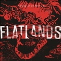 Flatlands