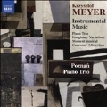 Krzysztof Meyer: Instrumental Music