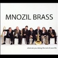 What Are You Doing the Rest of Your Life / Mnozil Brass