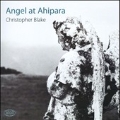 C.Blake: Angel at Ahipara, Night Journey to Pawarenga, Christ at Whangape, etc