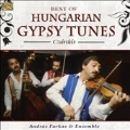 Best of Hungarian Gypsy Tunes