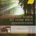 O Wie Schon Ist Deine Welt (Im Abendrot) - Sacred Romantic Music for Male Choir: Schubert, F.Silcher, Beethoven, etc / Klaus Breuninger, Die Meistersinger