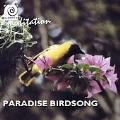 Sound of Meditation: Paradise Birdsong