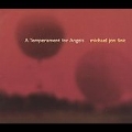 Michael Jon Fink: A Temperament for Angels