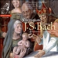 J.S.Bach :Cantatas -BWV.146 "Wir Mussen Durch Viel Trubsal"/BWV.82a "Ich Habe Genug"/etc :Johannette Zomer(S)/Florilegium