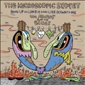 Been Up So Long It Looks Like Down To Me: The Micros Play The Blues